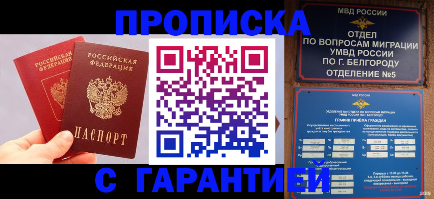 прописка 2025 в Дмитрове